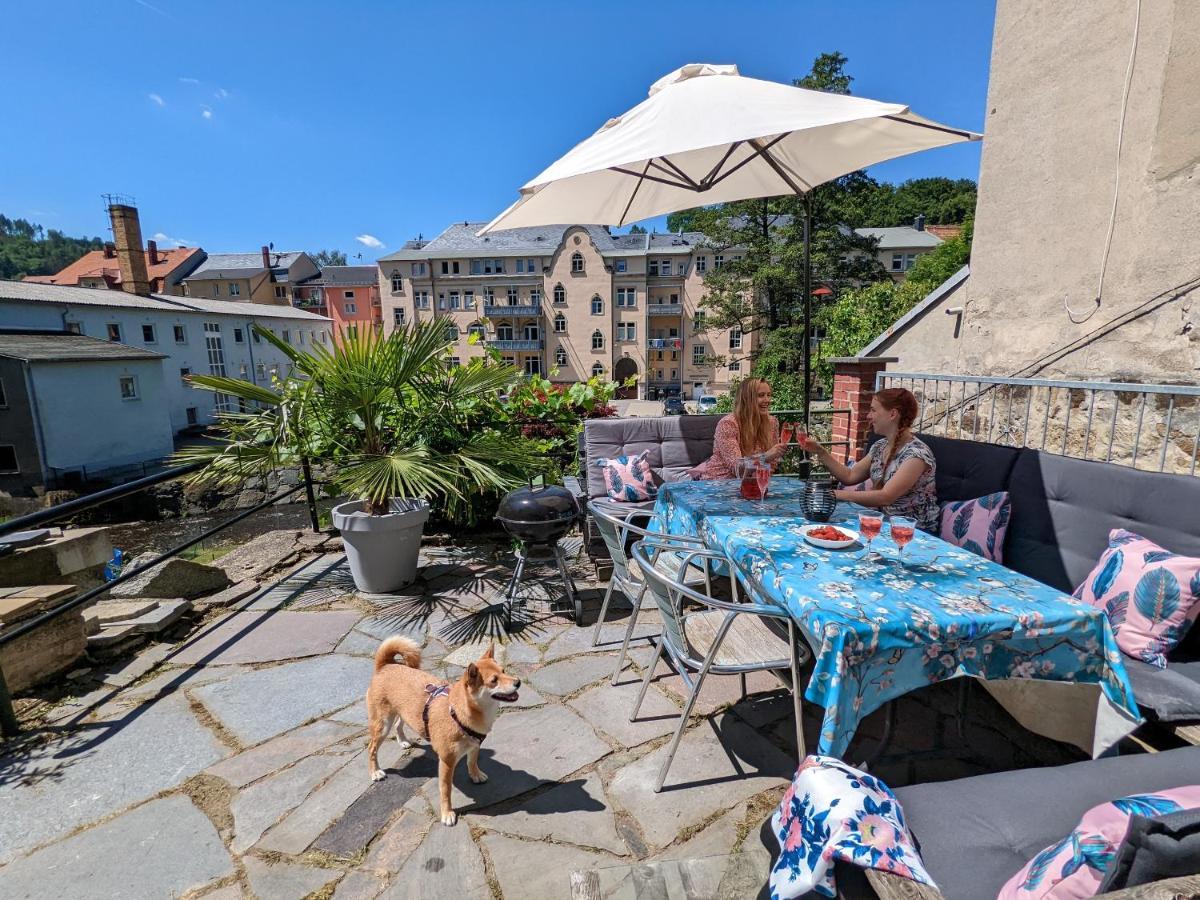 Lichtdurchflutete Helle Wohnung Mit Garten Sauna & Pool - Hw3 Sebnitz Eksteriør billede