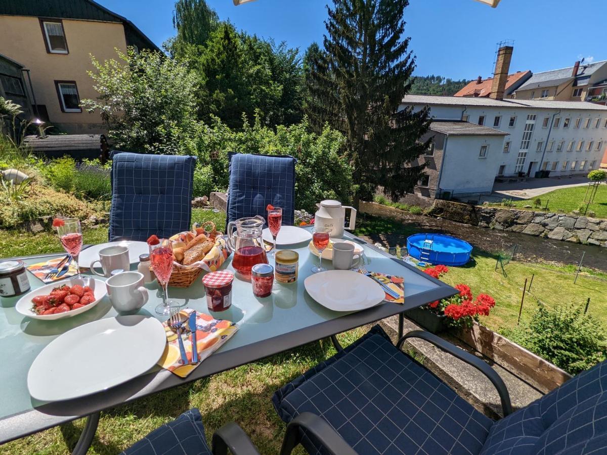 Lichtdurchflutete Helle Wohnung Mit Garten Sauna & Pool - Hw3 Sebnitz Eksteriør billede