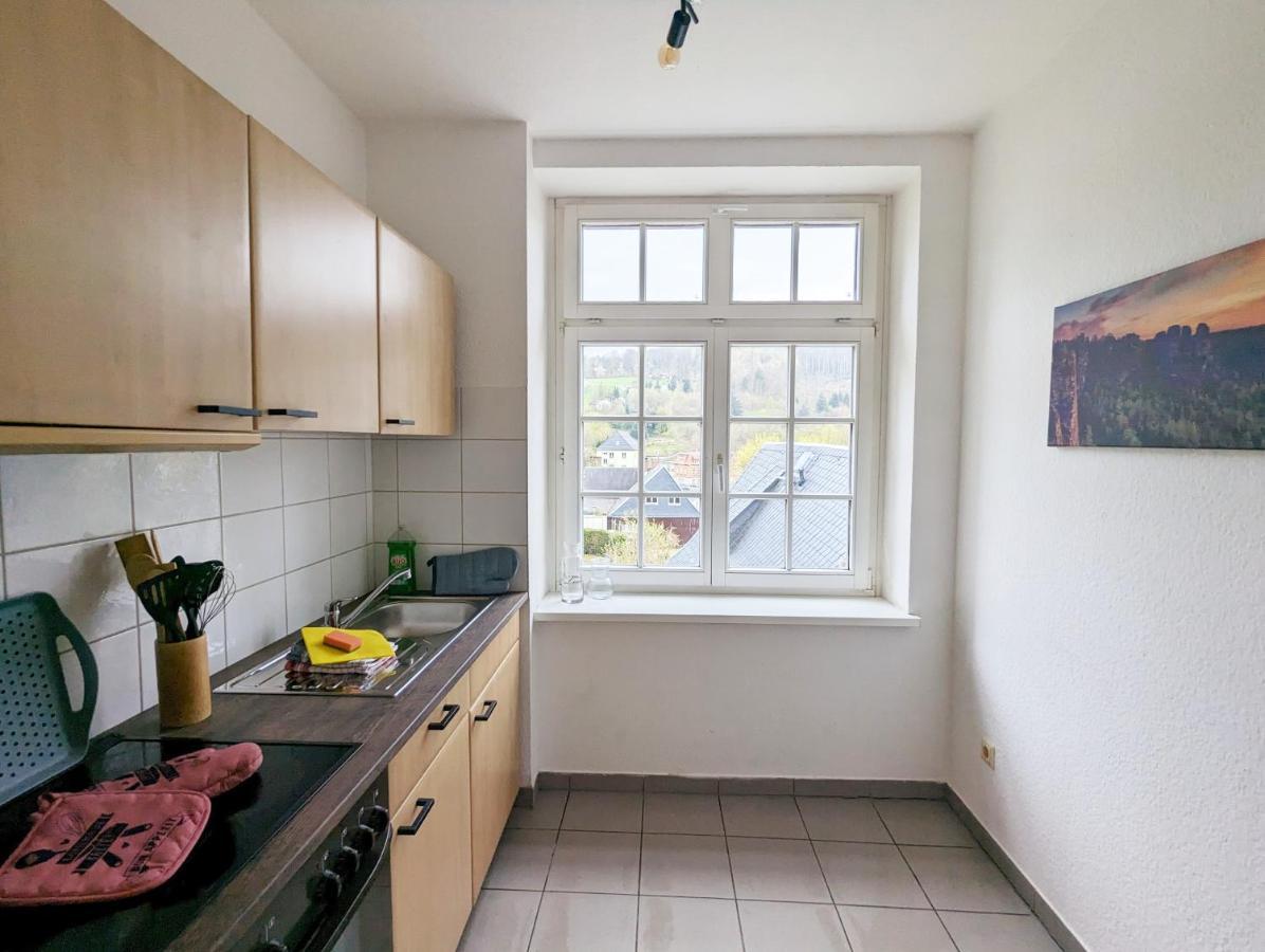 Lichtdurchflutete Helle Wohnung Mit Garten Sauna & Pool - Hw3 Sebnitz Eksteriør billede